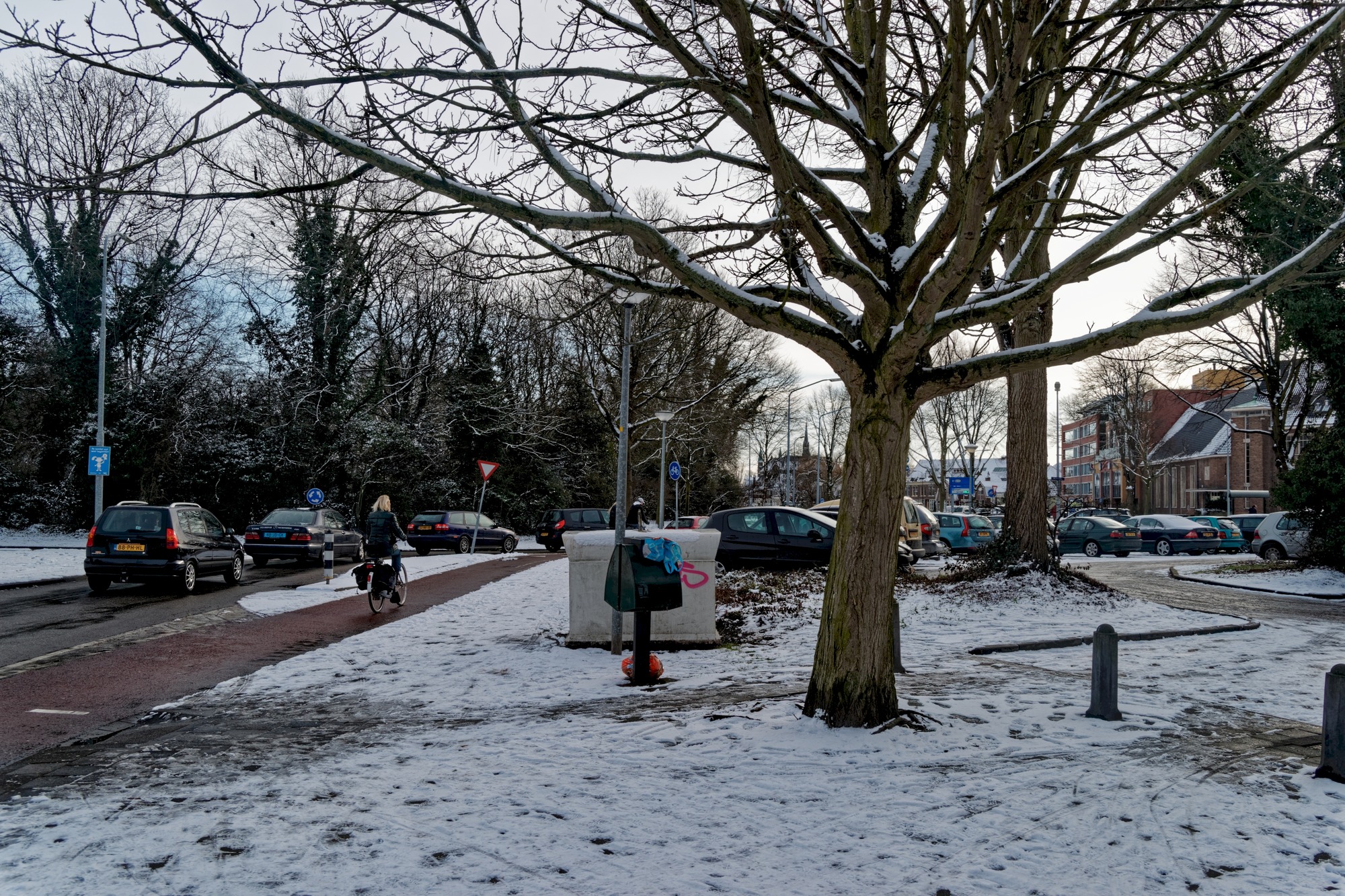 Gezicht vanaf het Scharlo richting Bergerhout en Geestersingel in Alkmaar.