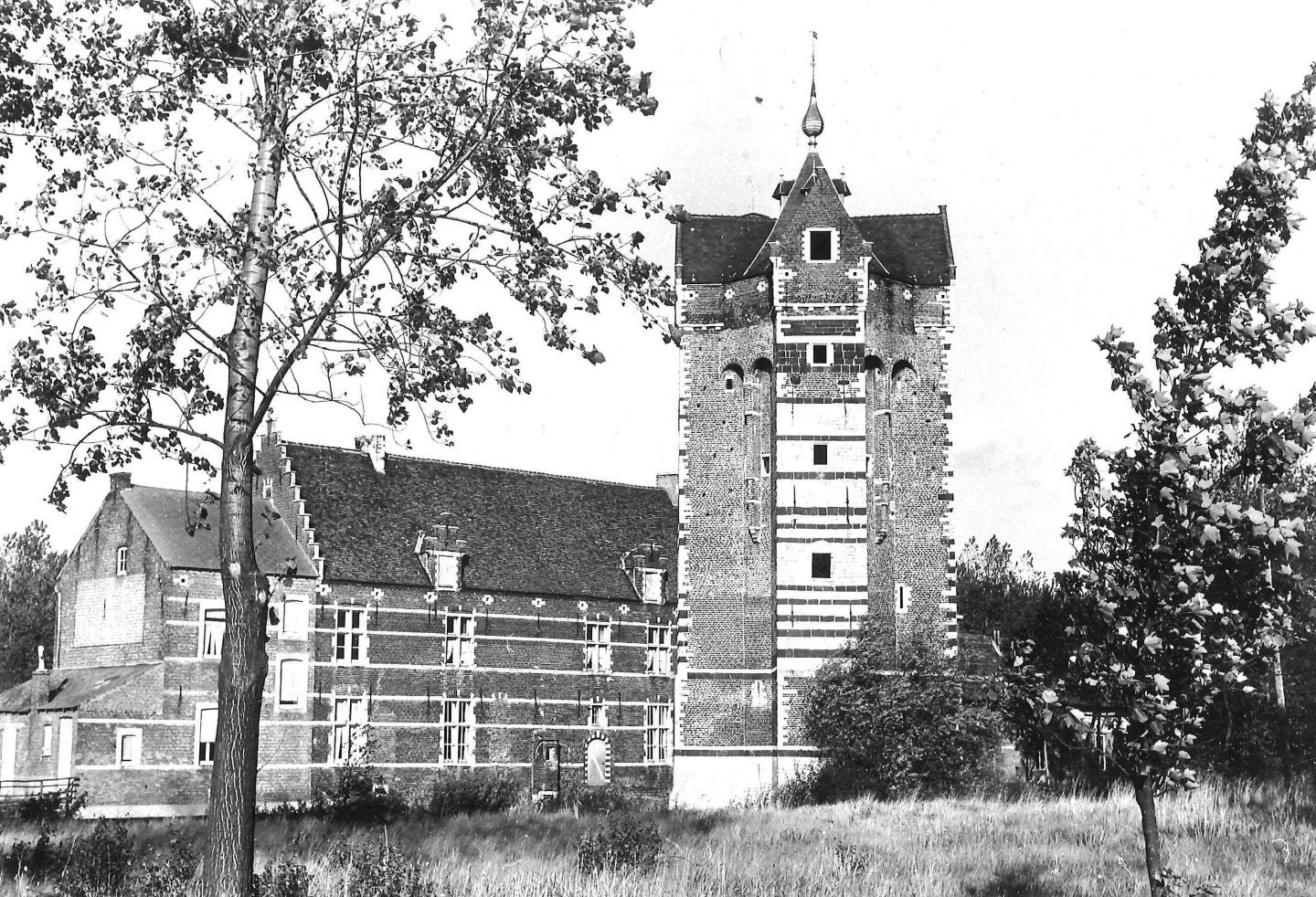 De donjon Ter Heyden in Rotselaar op een zwart-witfoto uit juni 1967.