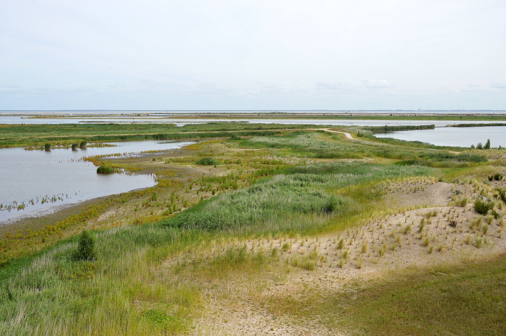 Riet, ondieptes en water op Marker Wadden, gezien vanaf een uitkijktoren.