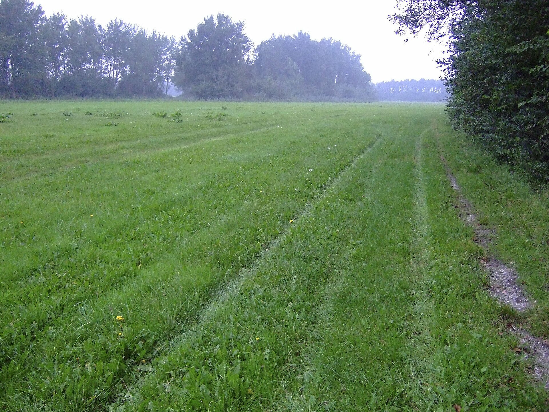 Het huidige terrein bij een archeologische vindplaats nabij Swifterbant. De prehistorische resten liggen onder het maaiveld.
