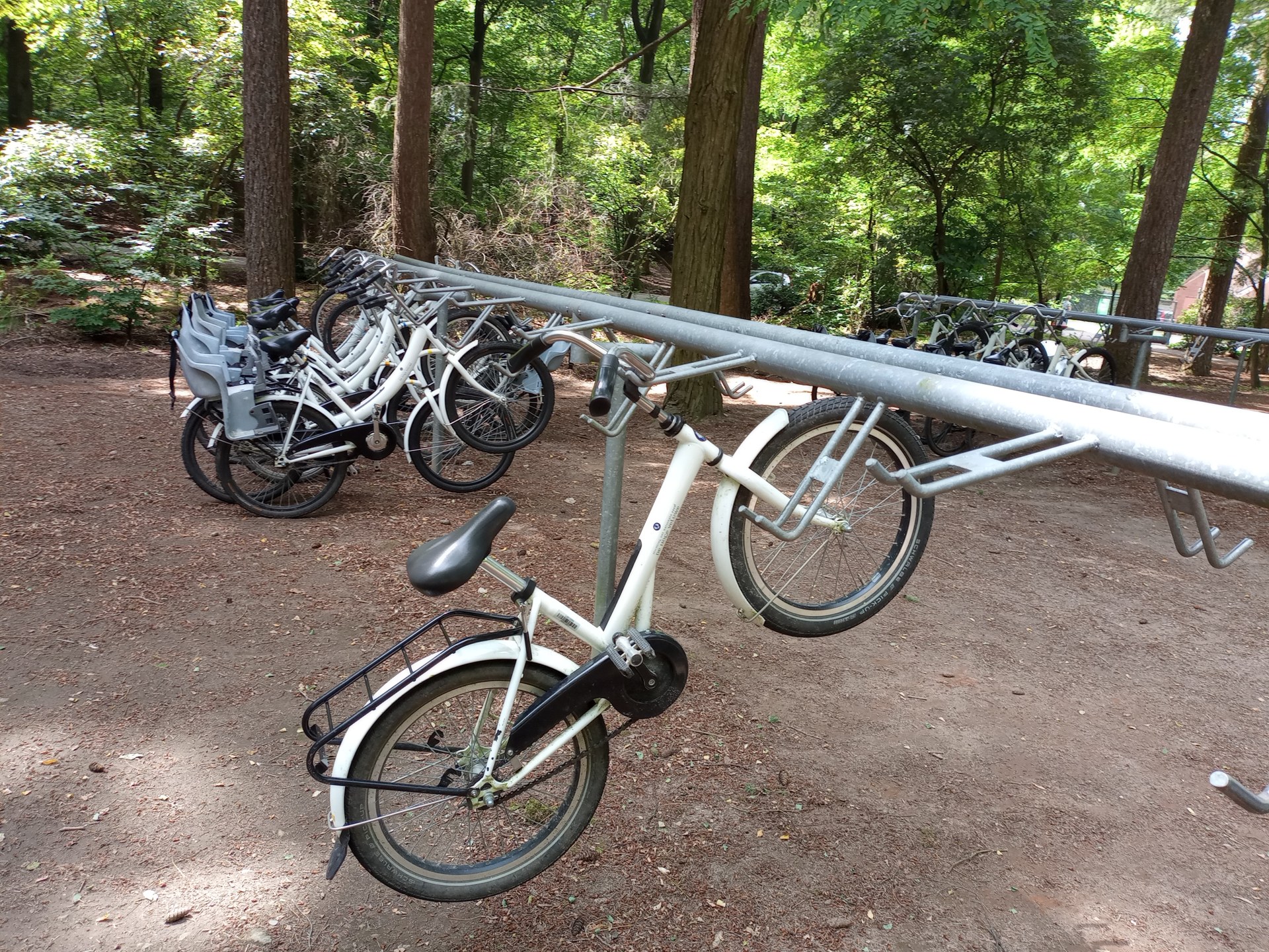 Witte Fietsen in een stalling op De Hoge Veluwe.