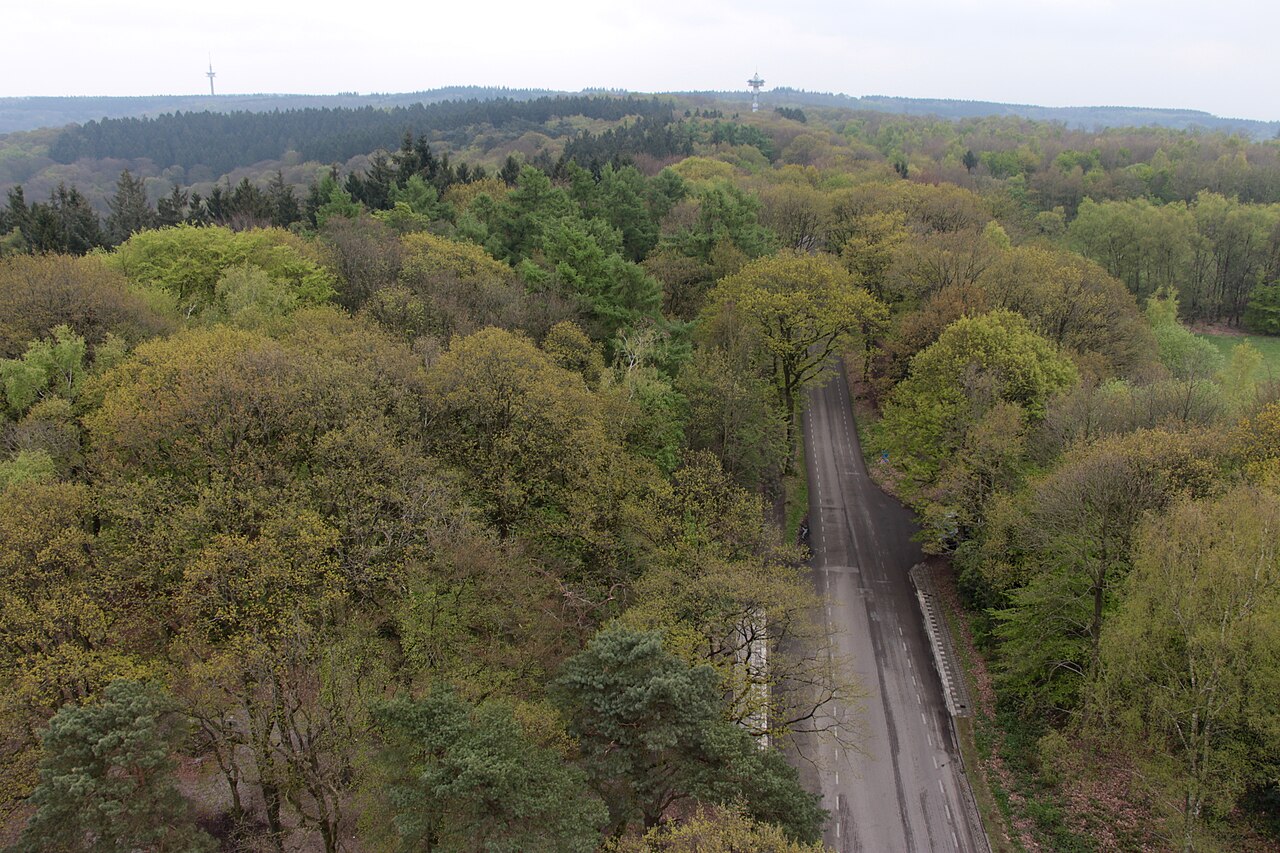 Uitzicht vanaf de Wilhelminatoren over het bos op de Vaalserberg richting de Boudewijntoren. Illustratief landschapsbeeld bij het grensverhaal.
