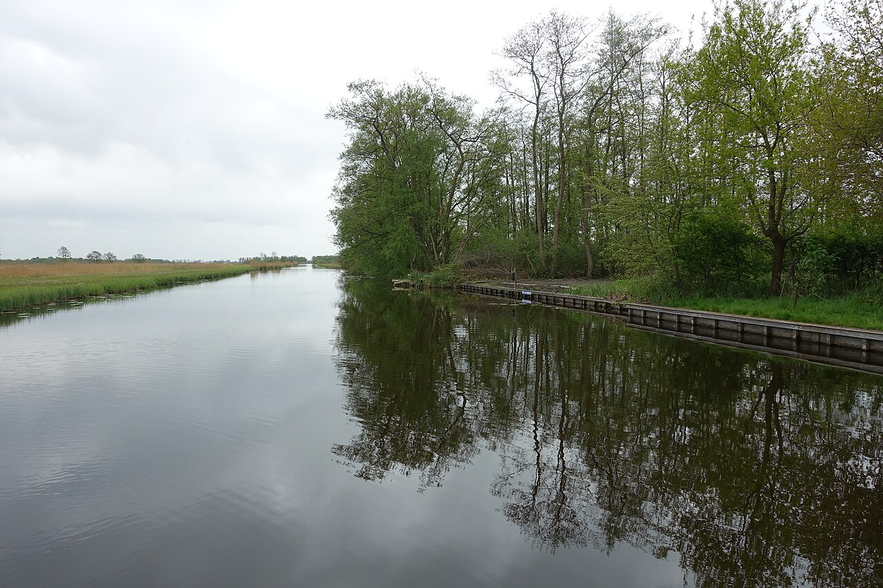 Een brede watergang met riet en begroeiing in de Nieuwkoopse Plassen.