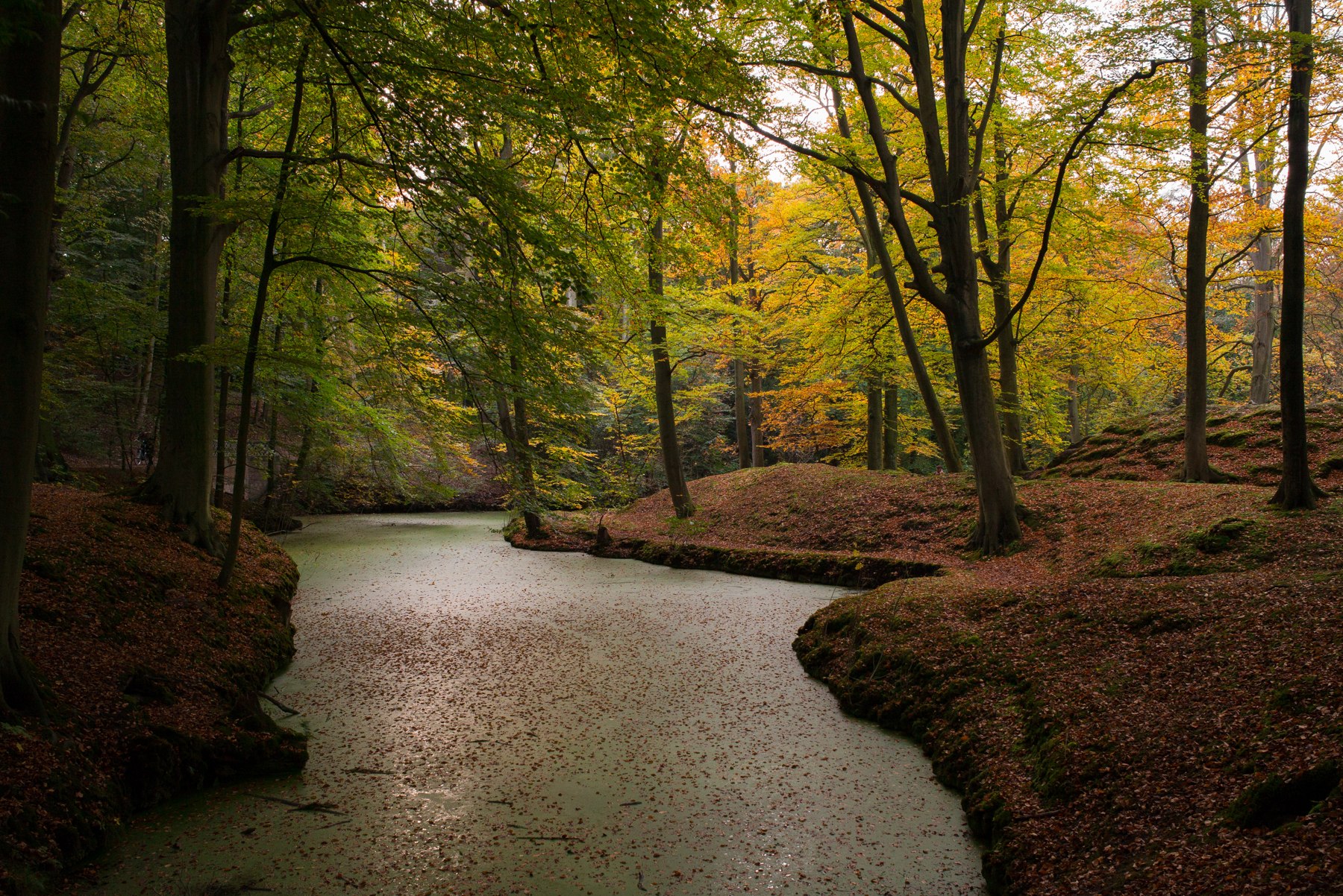 Herfst in Wassenaar, gefotografeerd door Roman Boed op 30 oktober 2016.