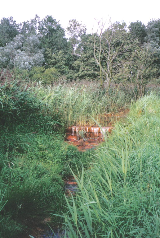 Wijstgrond met een ijzerhoudend stroompje bij Uden.