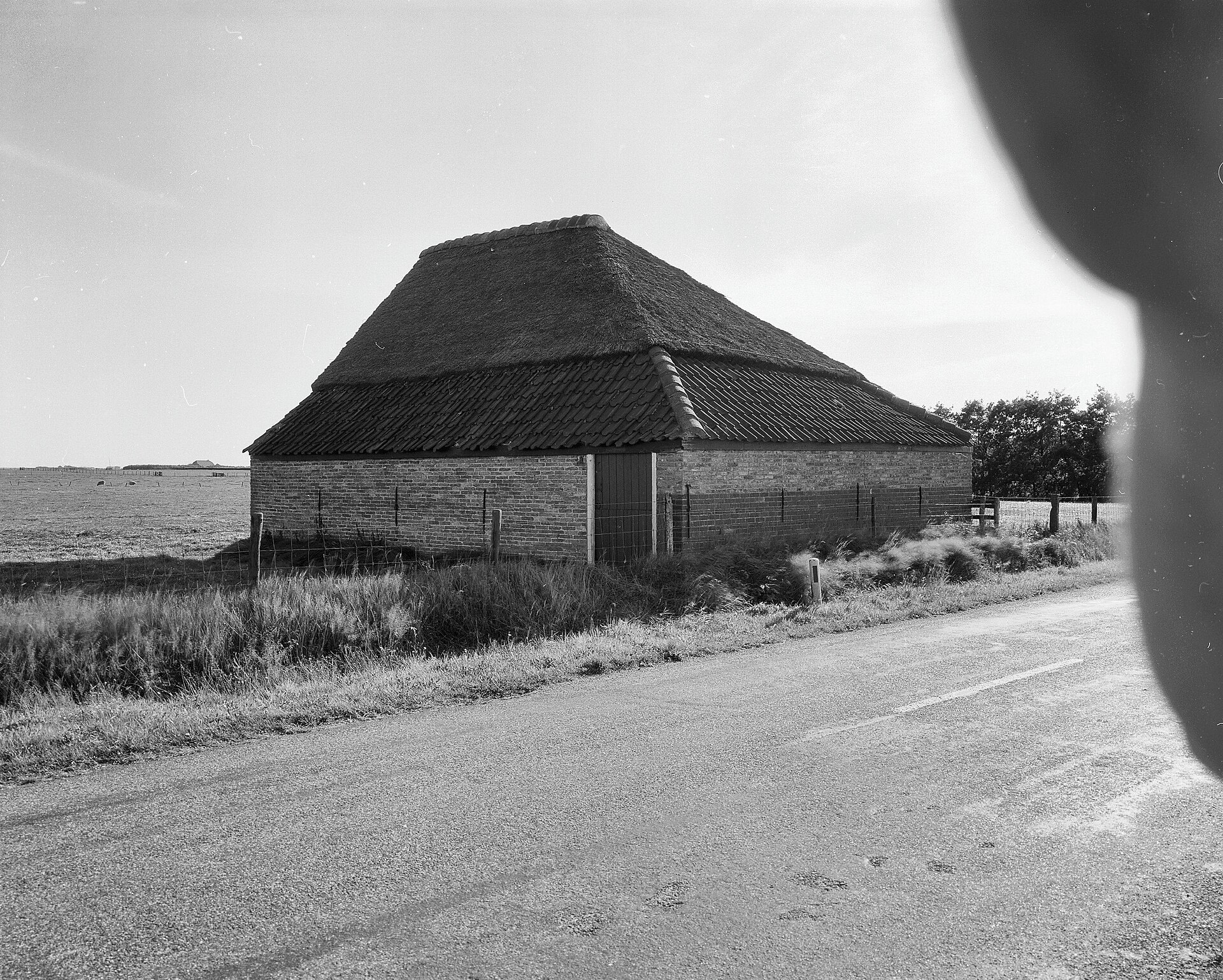 Een schapenboet bij Oosterend op Texel, op een historische foto uit de collectie van de Rijksdienst voor het Cultureel Erfgoed.