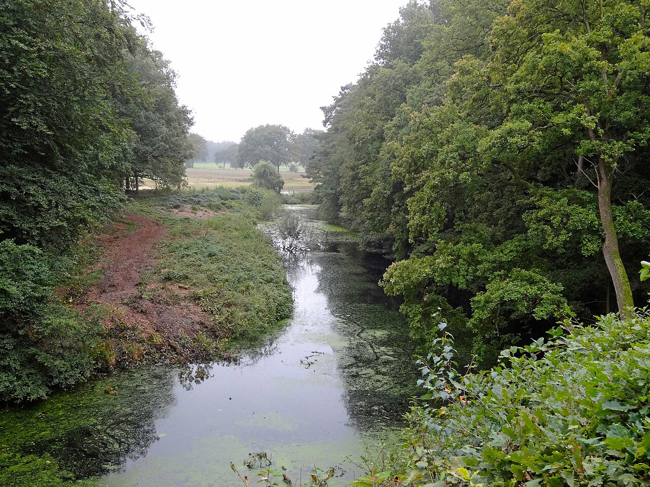 De beboste Steile Oever bij de oude Reggebocht in de omgeving van Ommen.