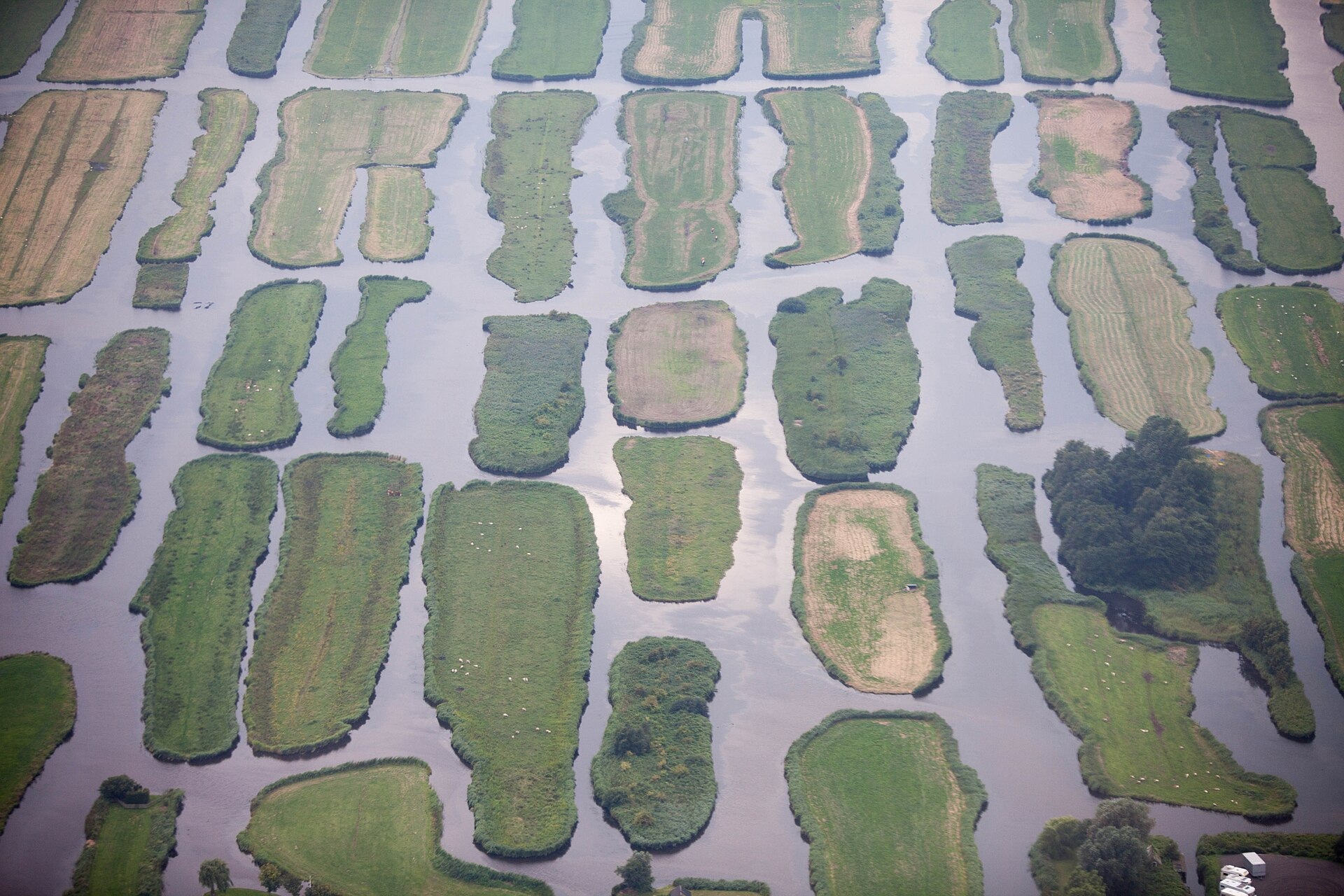 Luchtfoto van langgerekte groene percelen en sloten in een polder bij Oostzaan.