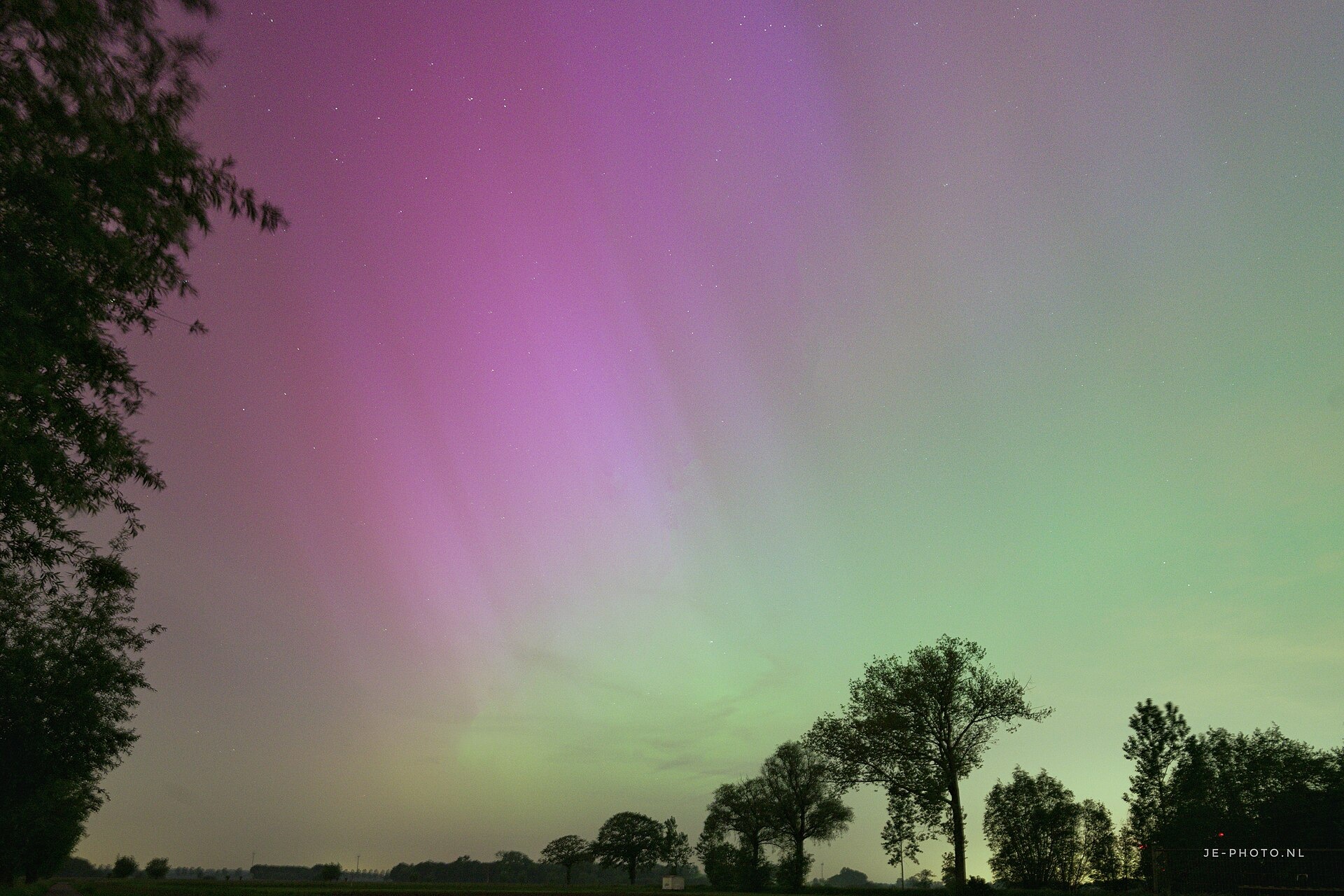 Groene en paarse banen noorderlicht boven bomen in Noord-Brabant in mei 2024.