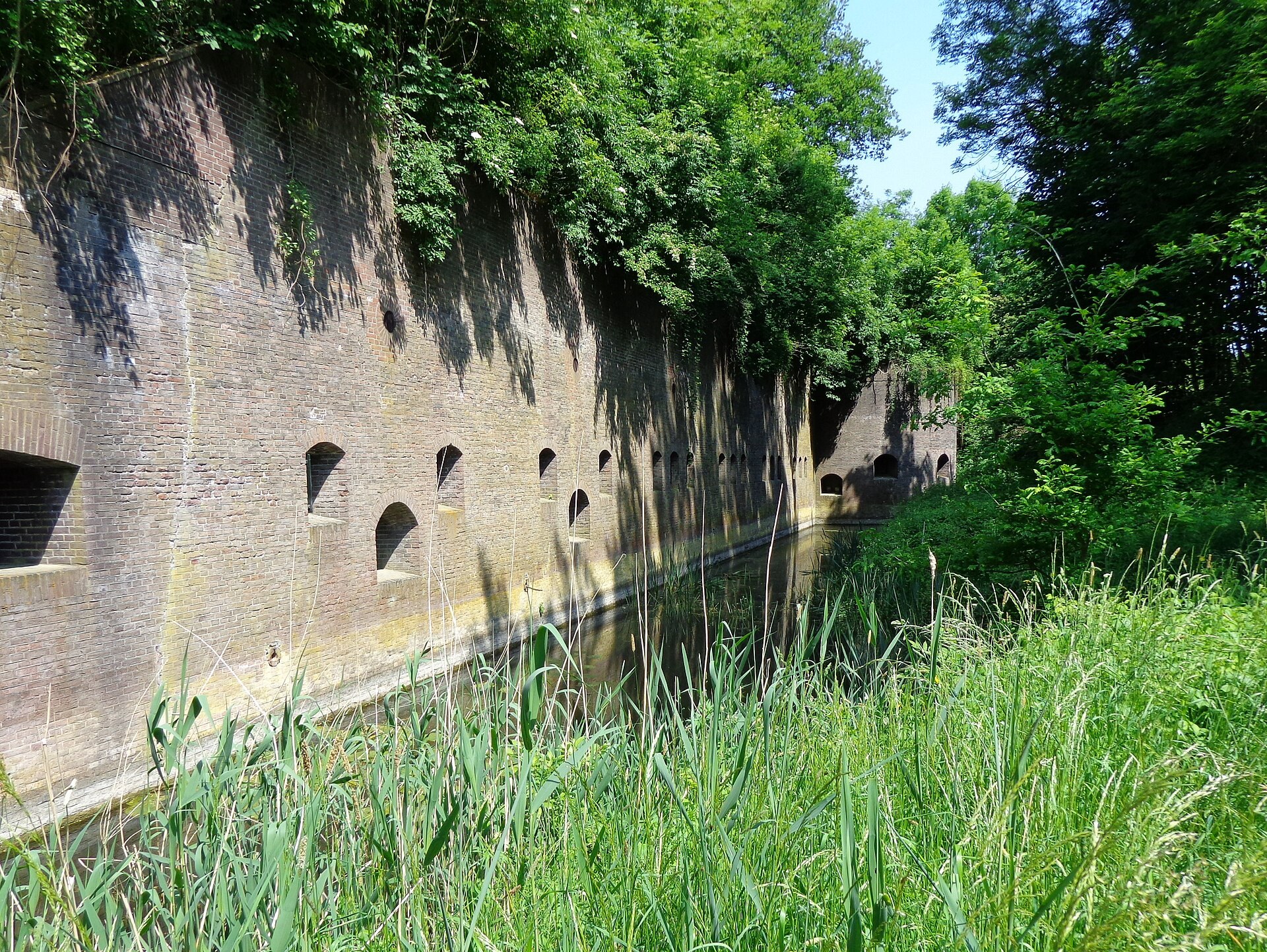 Een deel van het reduit van Fort bij Rijnauwen, met begroeiing.