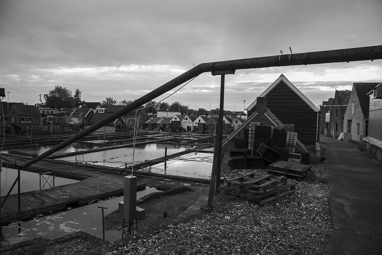 De historische oesterputten en bedrijfsgebouwen in Yerseke, in zwart-wit gefotografeerd.