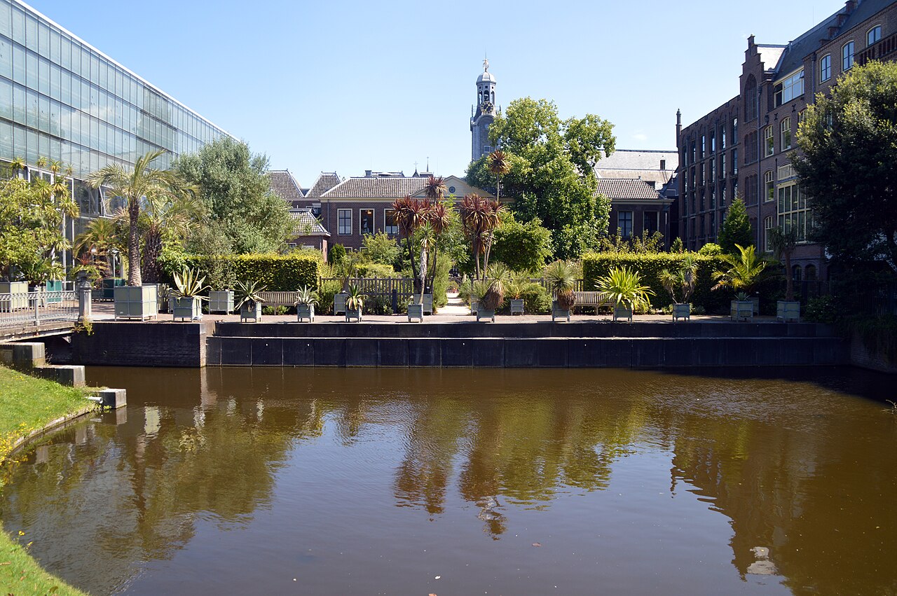 De Hortus botanicus in Leiden. Illustratief overzicht van het terrein; geen opname van de oorspronkelijke zestiende-eeuwse tuin.