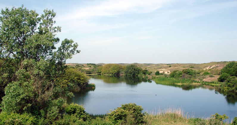 Een waterplas tussen de duinen van Meijendel. Illustratief landschapsbeeld; geen overzicht van het hele zuiveringssysteem.